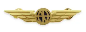 53453 Luso Aviation Pilot Wings Aviator Shirt Lapel Pin Gold Buttery Fly Clasps