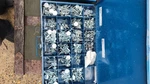 Assorted Steel Flat Head Screws & Bolts Hardware Kit In Organizer Case New. Price: $200.00.