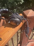 Softcomm Aviation Headset - Active Anr Can Battery Or Cigarette Lighter Used. Price: $60.00.