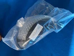 New Gentex Flight Helmet Tpl Integrated Liner Xxs Small HGU-56 HGU-55 Sph Aph. Price: $34.99.